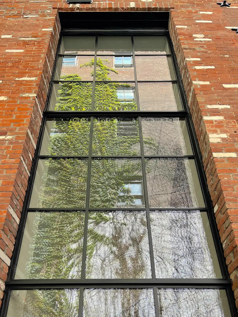 Thermal Steel window wall with powder coat finish, SDL muntins, horizontal mullions, high performance insulating glass