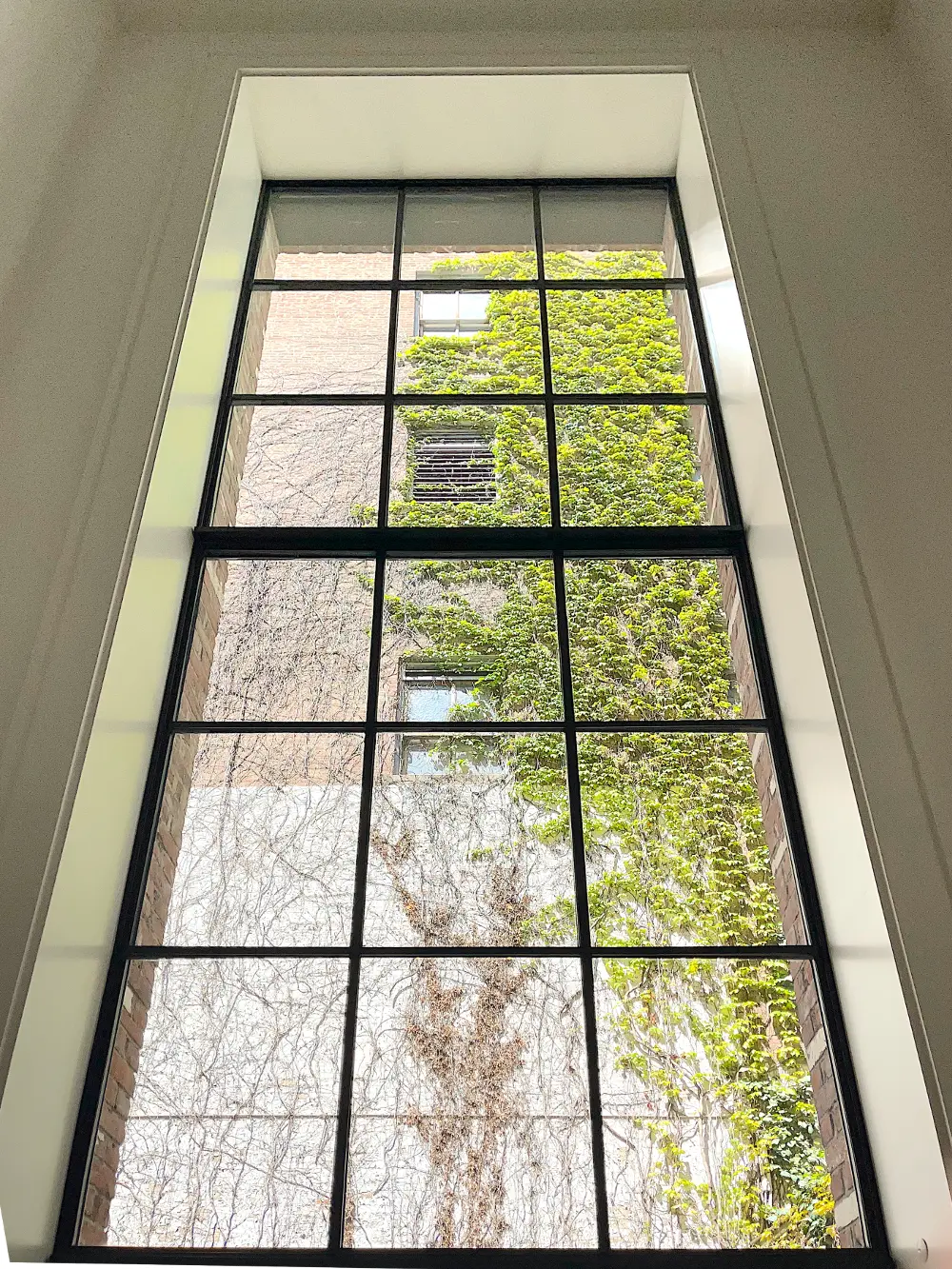Thermal Steel window wall with powder coat finish, SDL muntins, horizontal mullions, high performance insulating glass